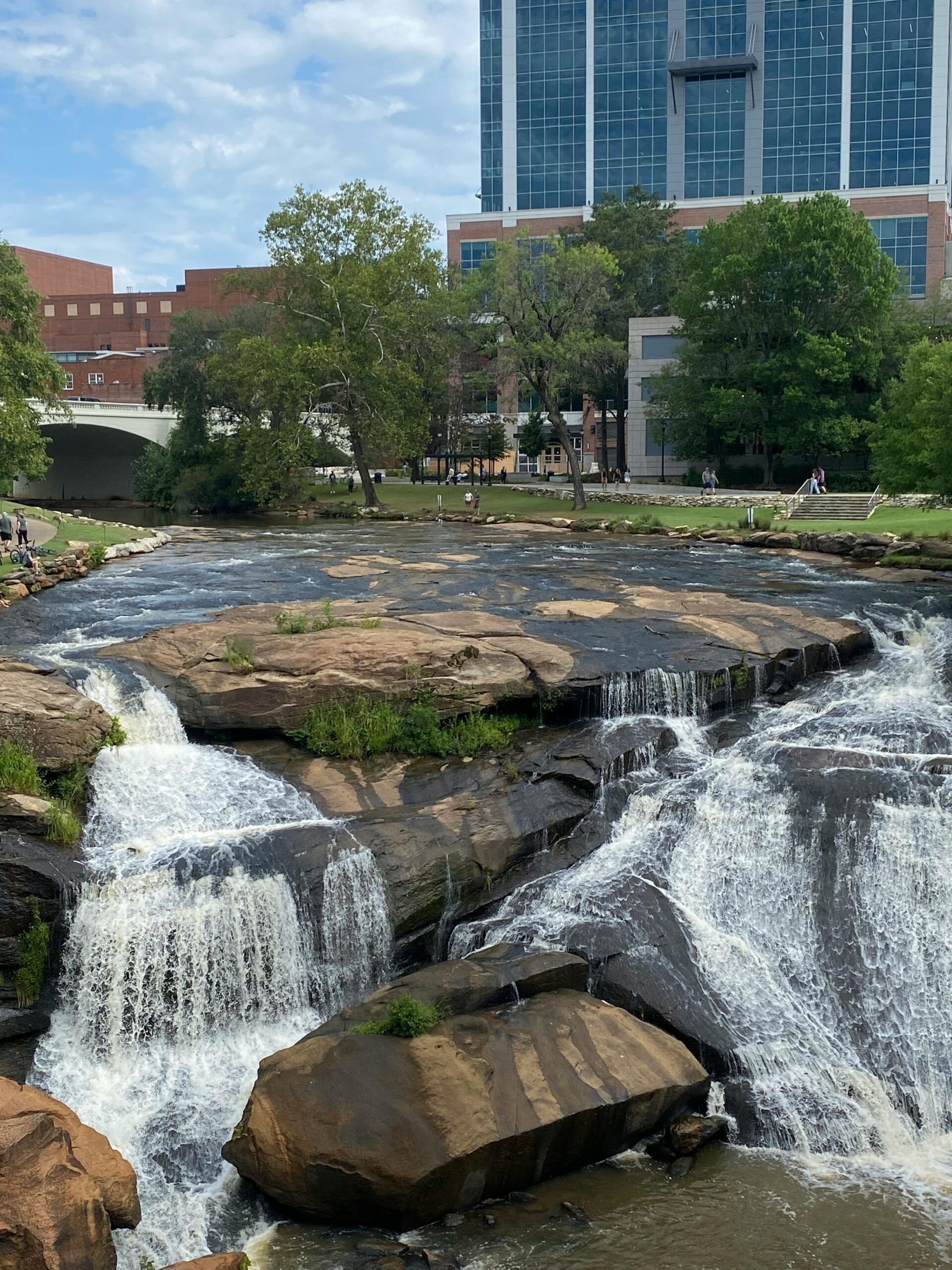 Greenville Rental Property Management